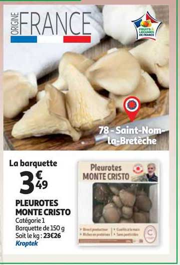 pleurotes monte cristo