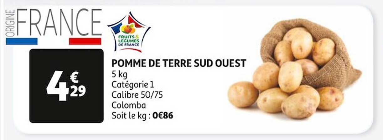 pomme de terre sud ouest