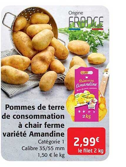 pommes de terre de consommation à chair ferme variété amandine