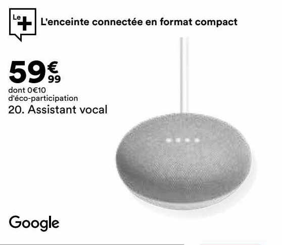 assistant vocal google