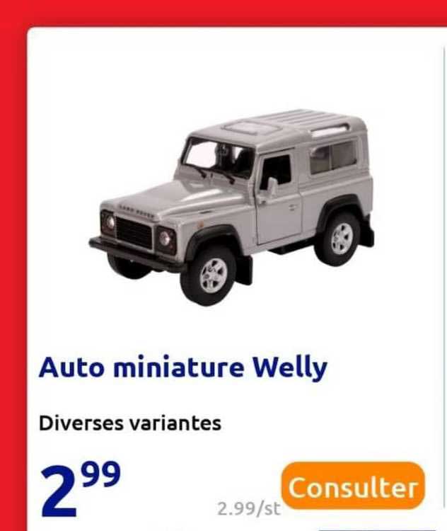auto miniature welly