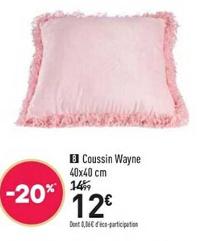coussin wayne 40 x 40 cm