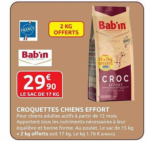 croquettes chiens effort