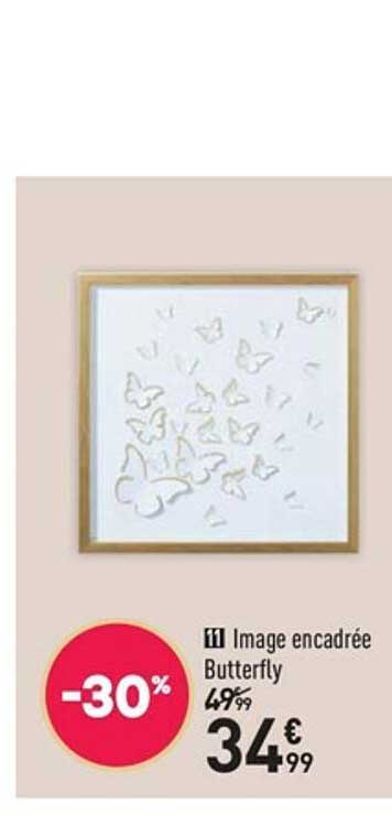 image encadrée butterfly