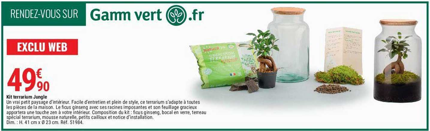 Kit Terrarium Jungle