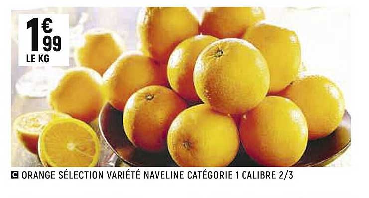 orange sélection variété naveline