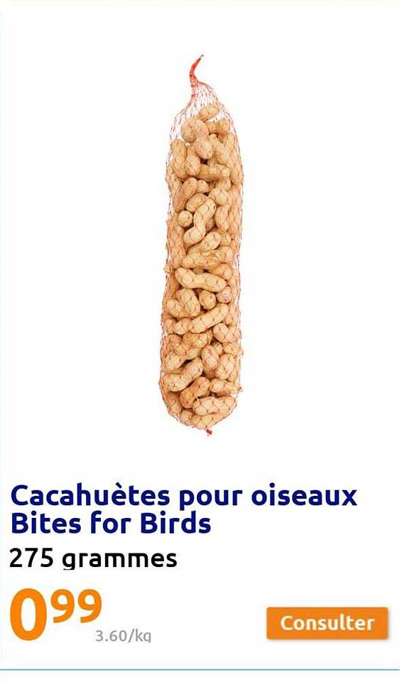 cacahuètes pour oiseaux bites for birds