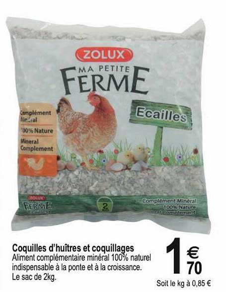 coquilles d'huîtres et coquillages