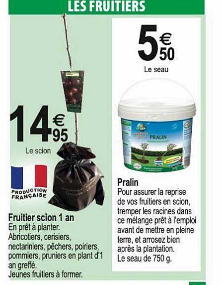 Fruiier Scion 1an Pralin