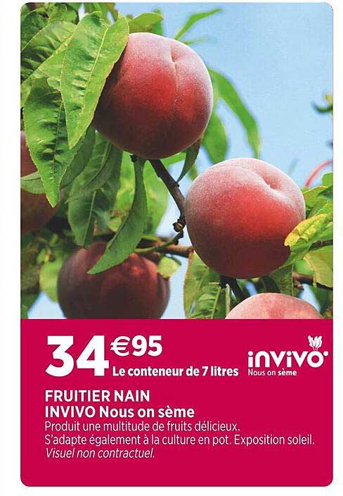 fruitier nain invivo nous on sème