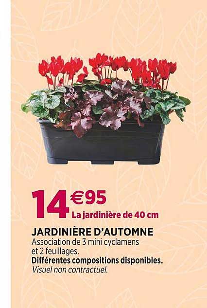 jardinière d'automne
