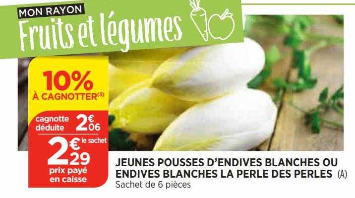 jeunes pousses d'endives blanches ou endives blanches la perle des perles