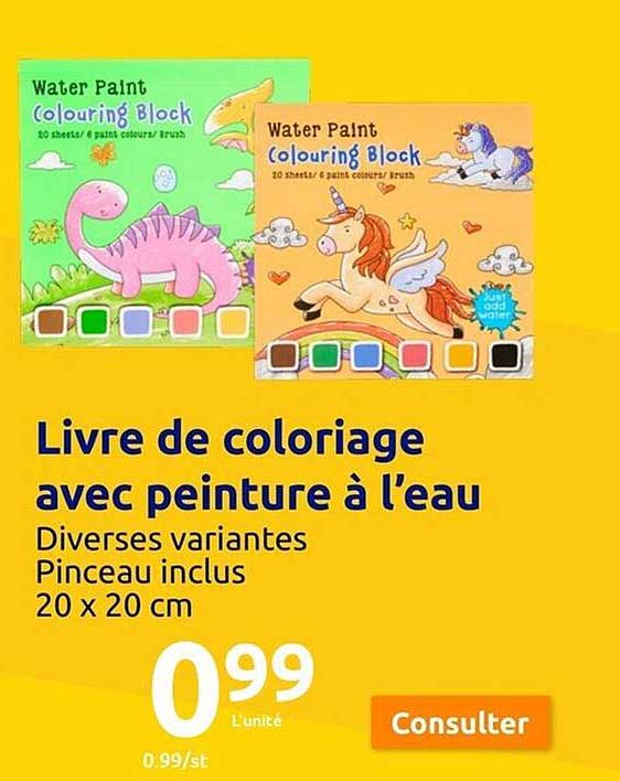 livre de coloriage avec peinture à l'eau