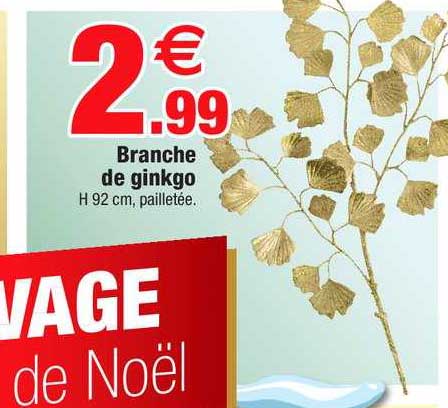 branche de ginkgo