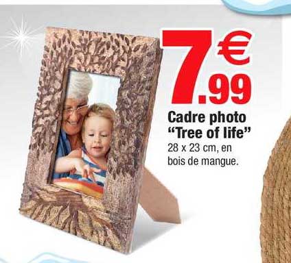 cadre photo "tree of life"