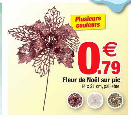 fleur de noël sur pic