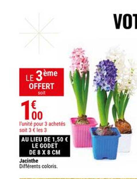 jacinthe le 3ème offert
