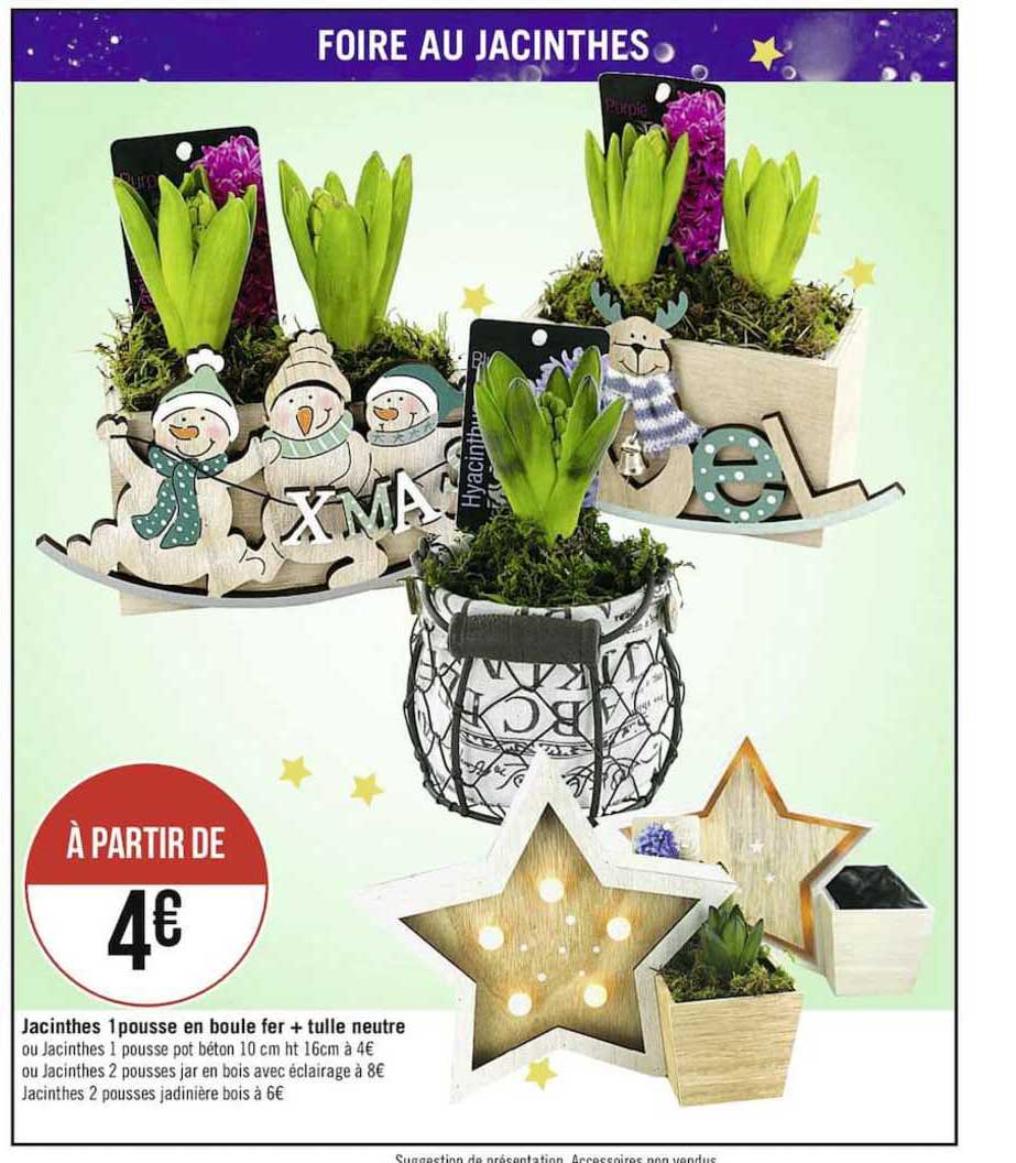 jacinthes 1 pousse en boule fer + tulle neutre