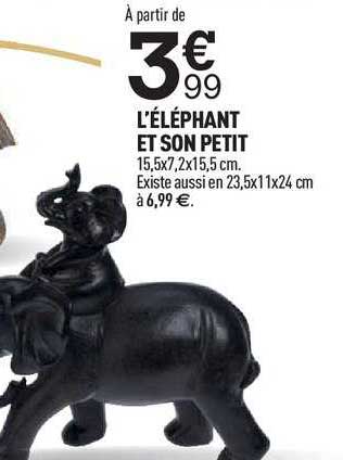 L'éléphant Et Son Petit
