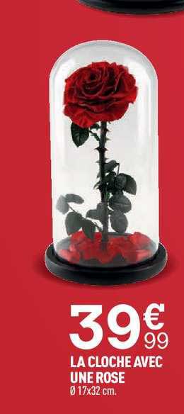 la cloche avec une rose