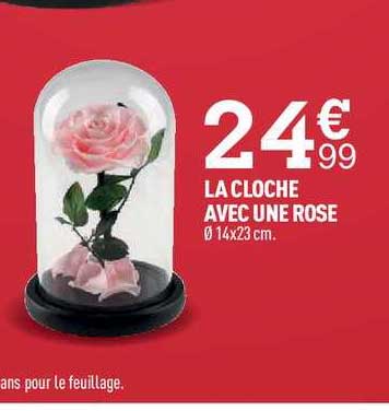 la cloche avec une rose