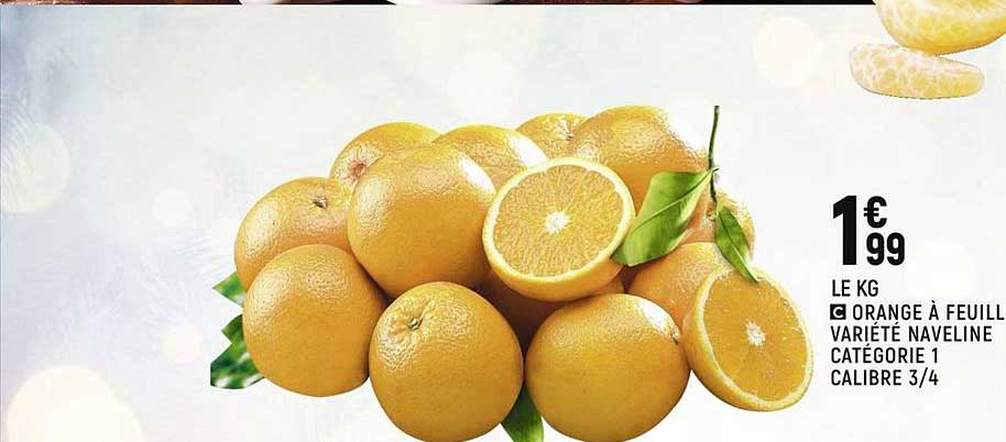 Orange à Feuille Variété Naveline Catégorie 1