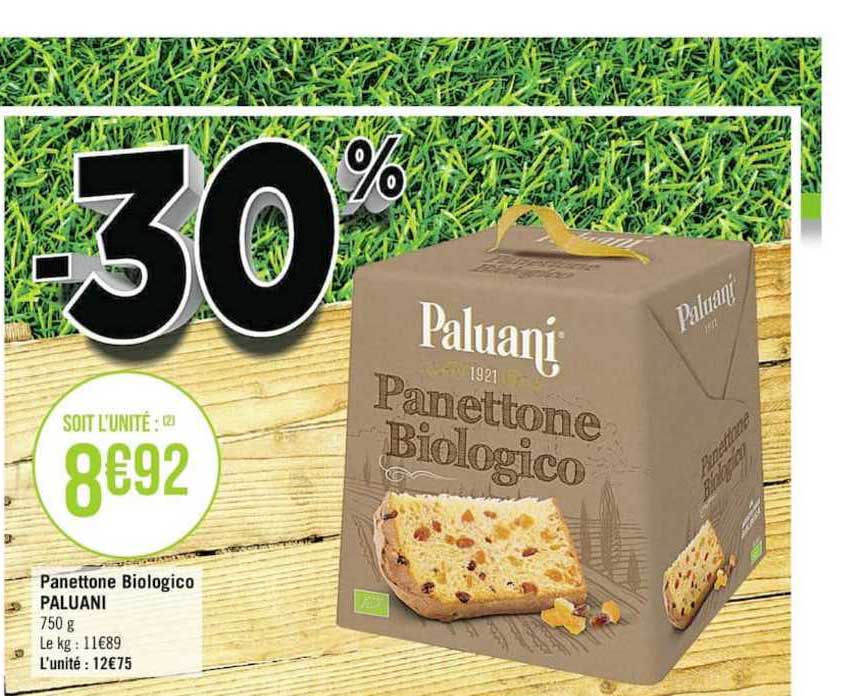 panettone biologico paluani