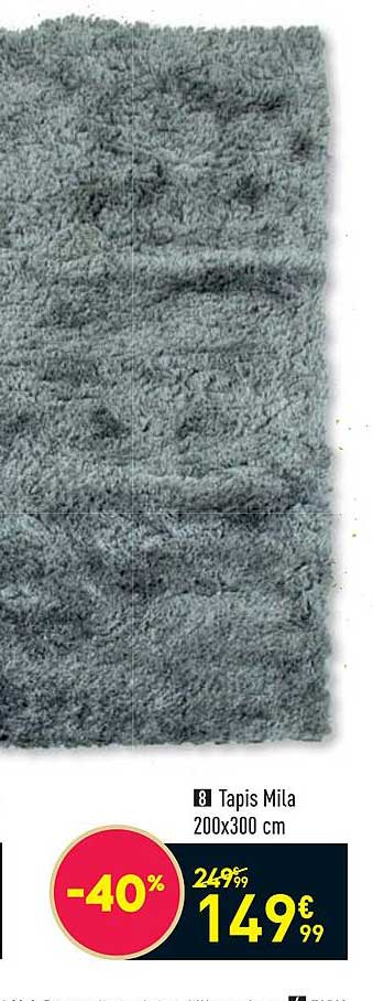 Tapis Mila 200 X 300 Cm