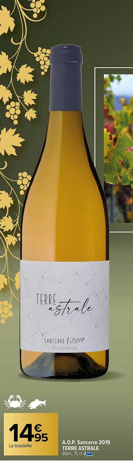 a.o.p. sancerre 2019 terre astral