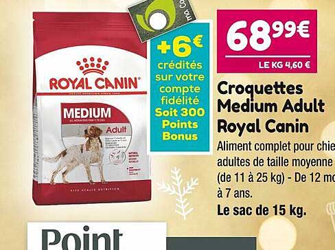 croquettes medium adult royal canin