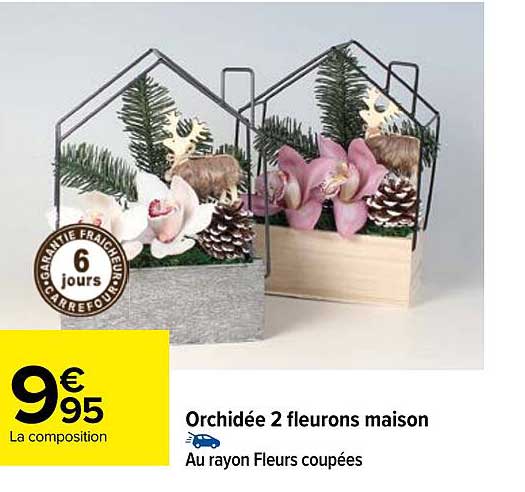 orchidée 2 fleurons maison