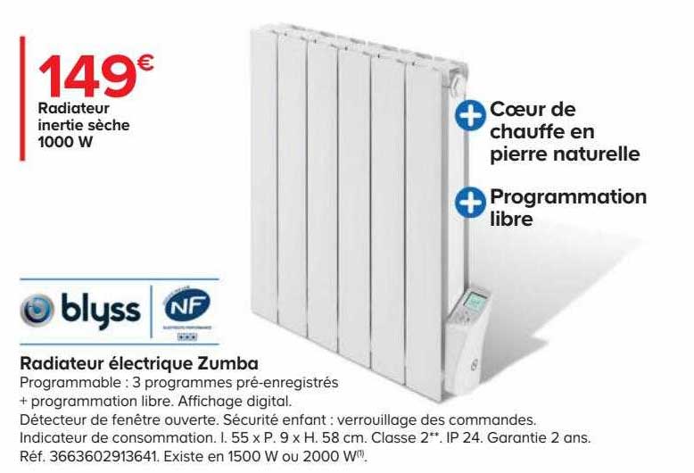 radiateur électrique inertie sèche 1000 w zumba blyss