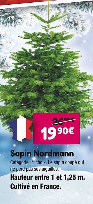 sapin nordmann