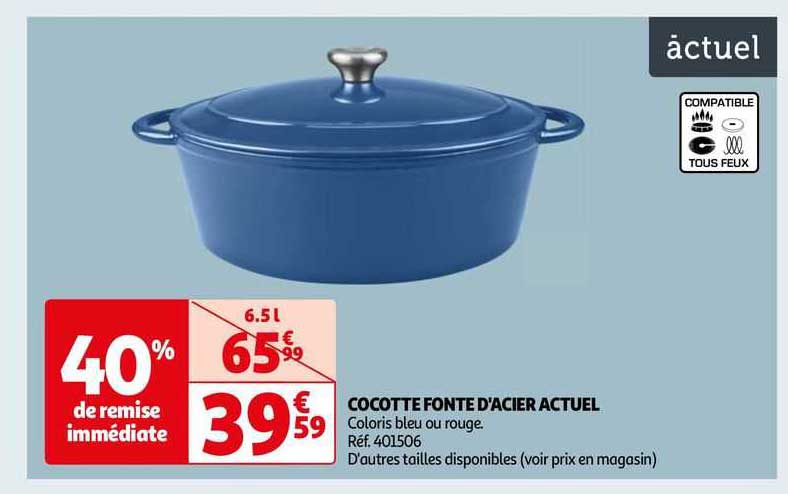 cocotte fonte d'acier actuel