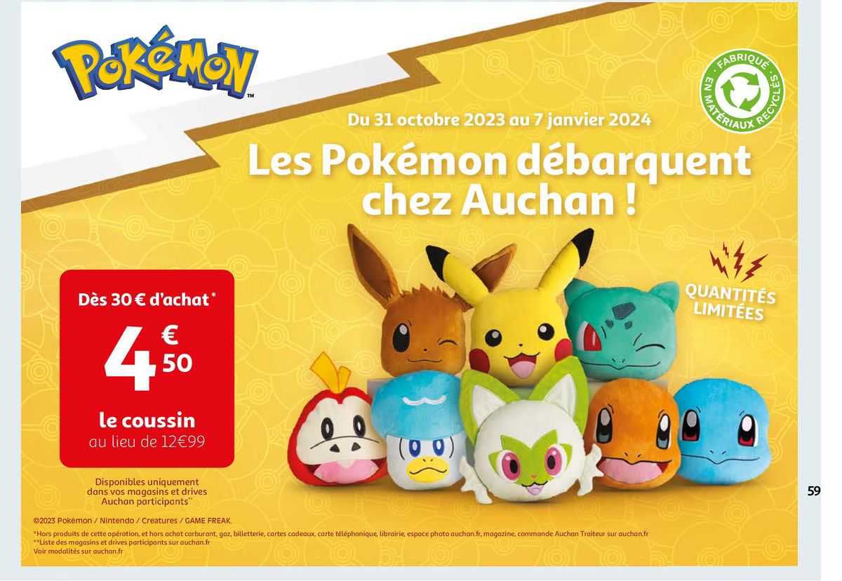 Le Coussin Pokémon
