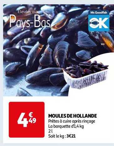 Moules De Hollande