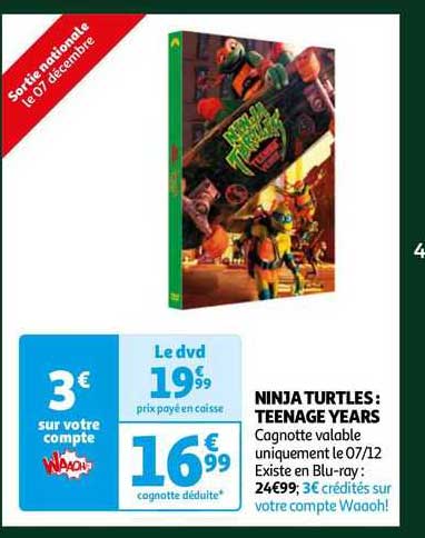 ninja turtles : teenage years