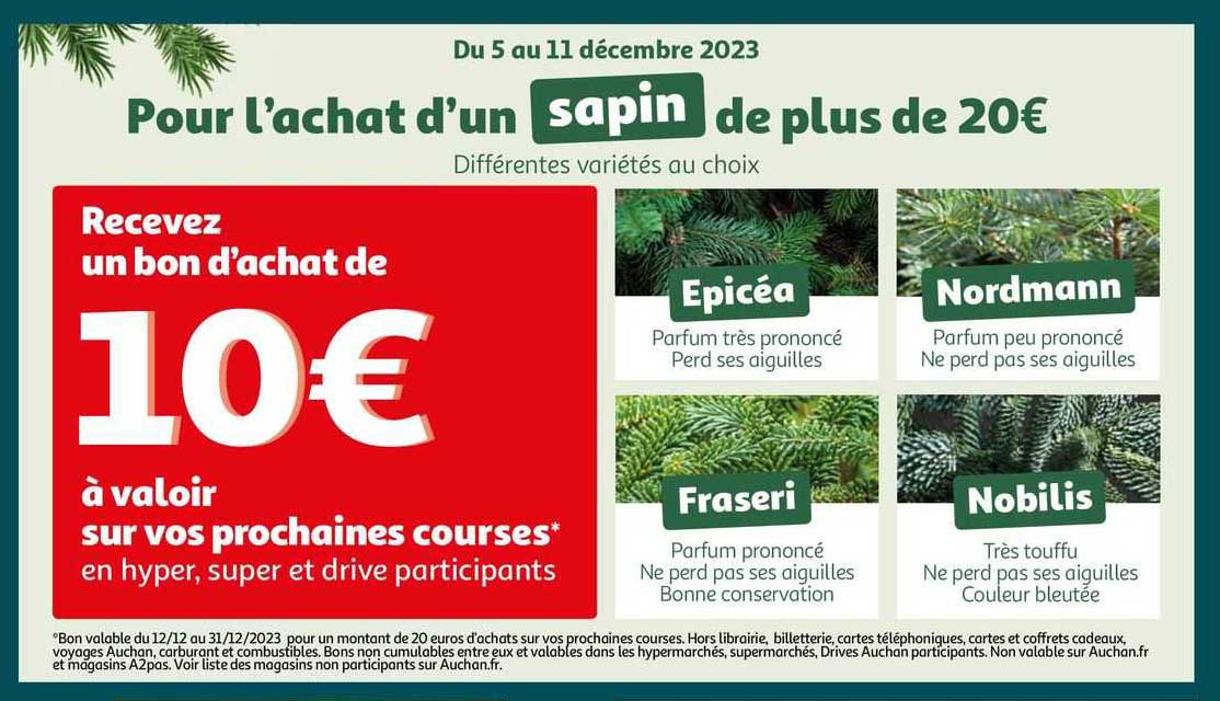 sapin epicéa, nordmann, fraseri, nobilis