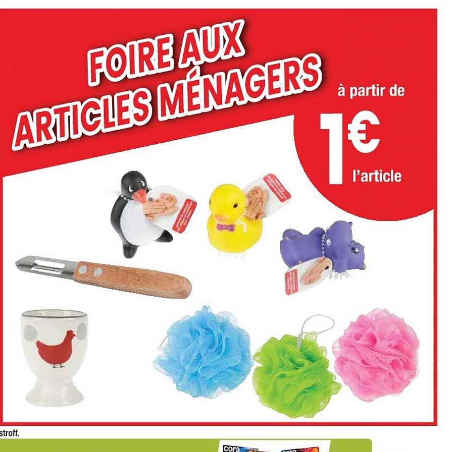 foire aux articles ménagers