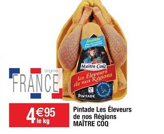 pintade les éleveurs de nos régions maître coq