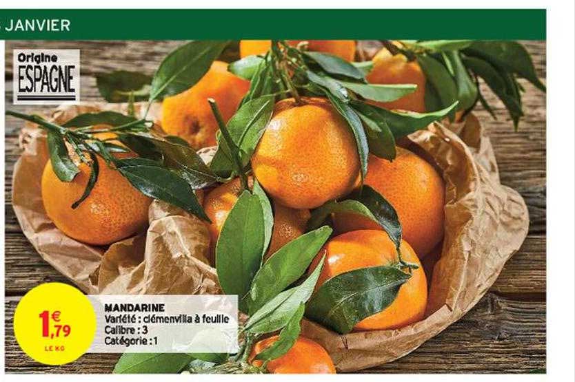 mandarine clémenvilla à feuille