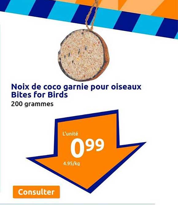 noix de coco garnie pour oiseaux bites for birds