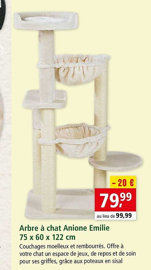 arbre à chat anione emilie