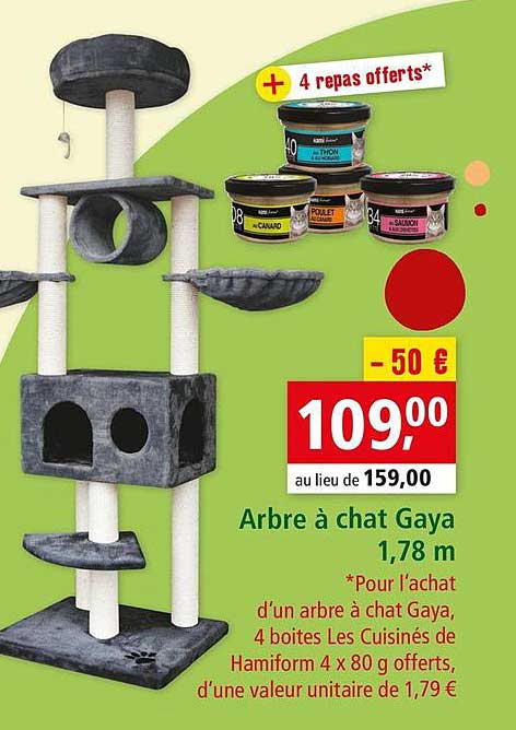 Arbre à Chat Gaya 1,78 M