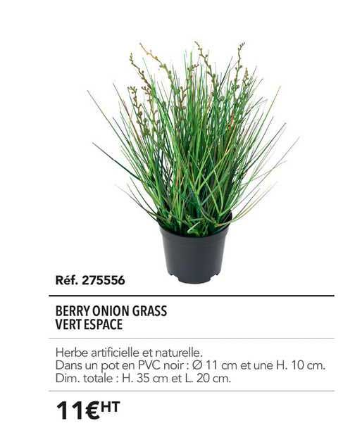 berry onion grass vert espace