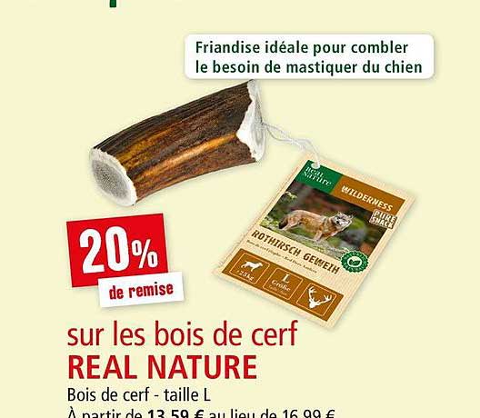 bois de cerf real nature