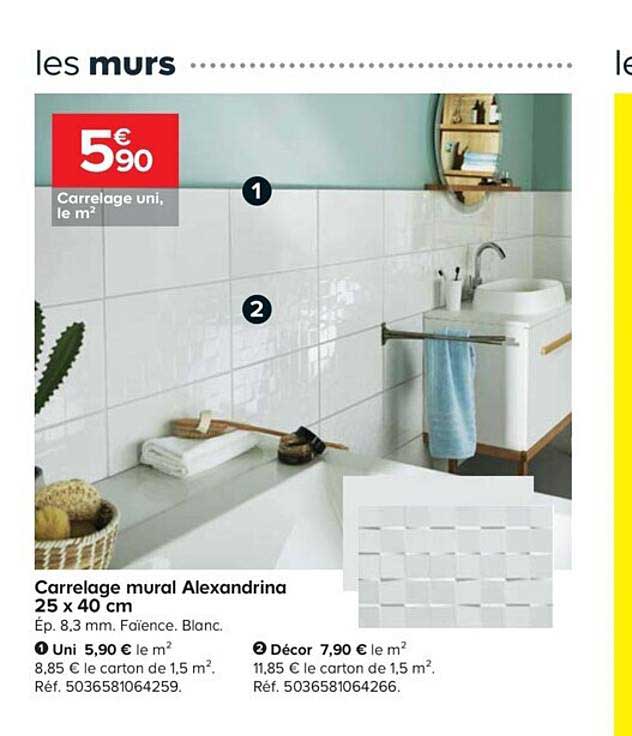 Carrelage Mural Alexandrina 25 X 40 Cm