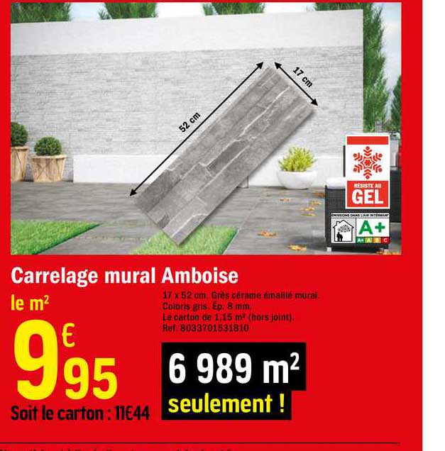 carrelage mural amboise