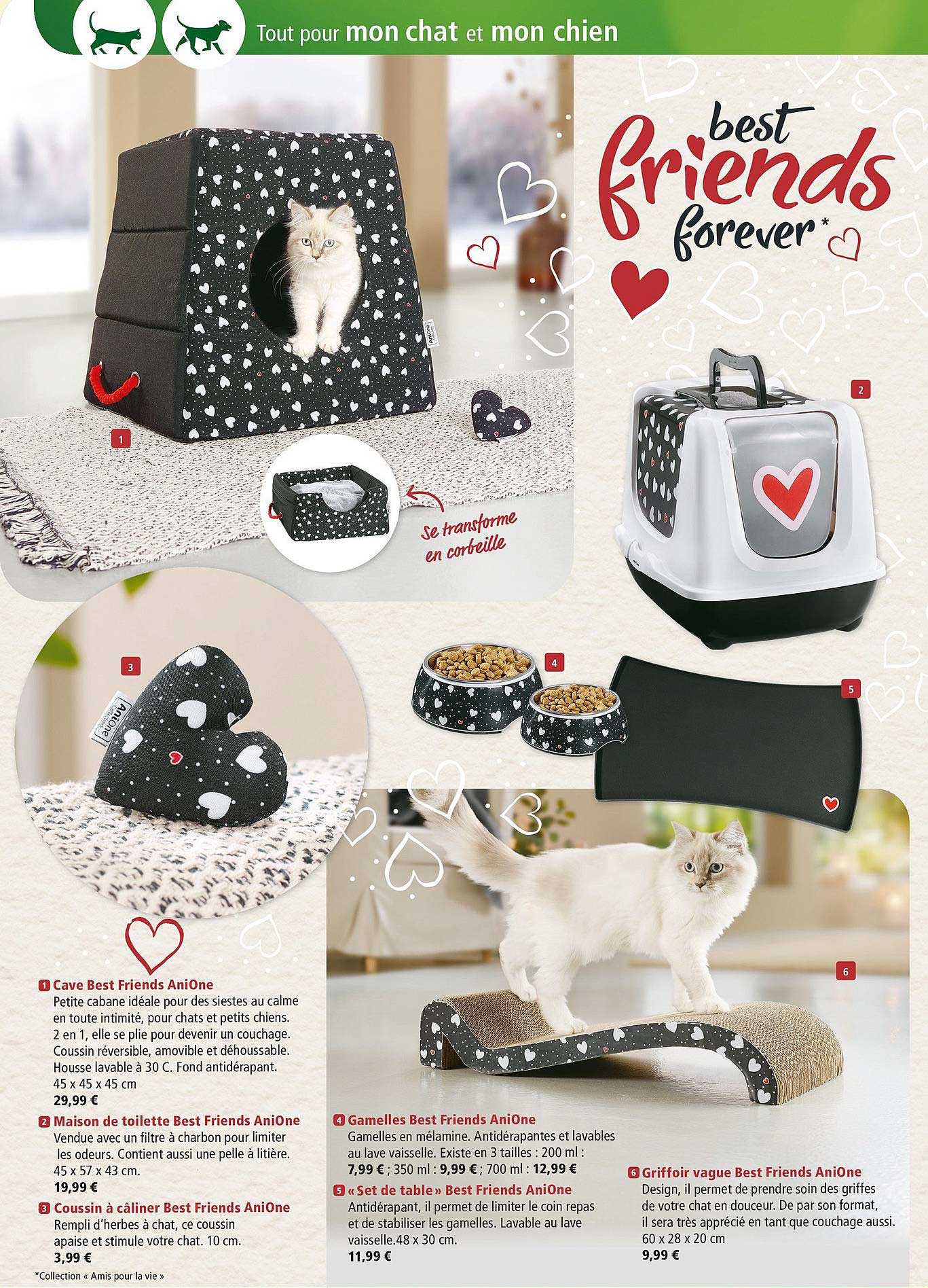 cave best friends anione, maison de toilette, coussin à câliner, gamelles, set de table, griffoir vague