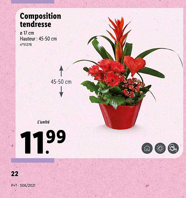 composition tendresse